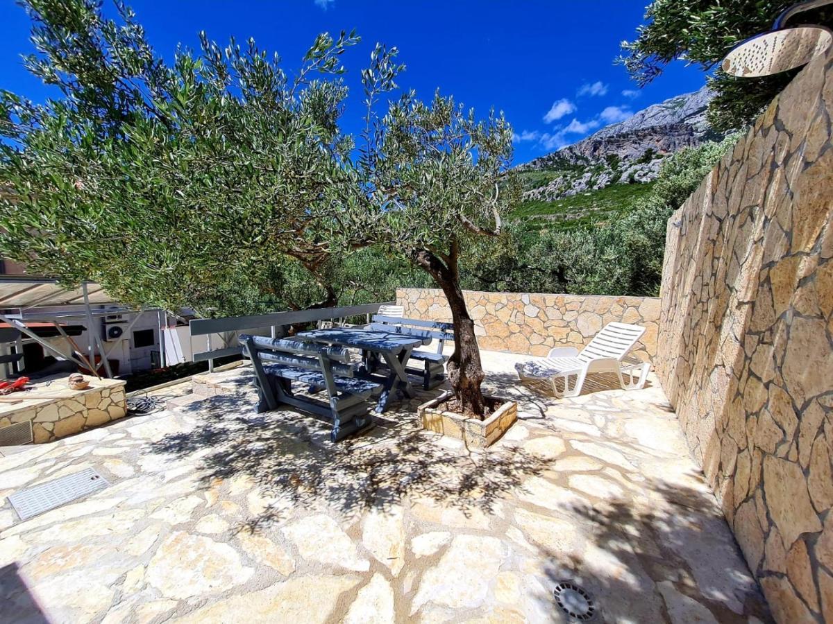 Vila Maslina Apartments Mit Pool Und Garten Nahe Am Strand Tučepi Zewnętrze zdjęcie