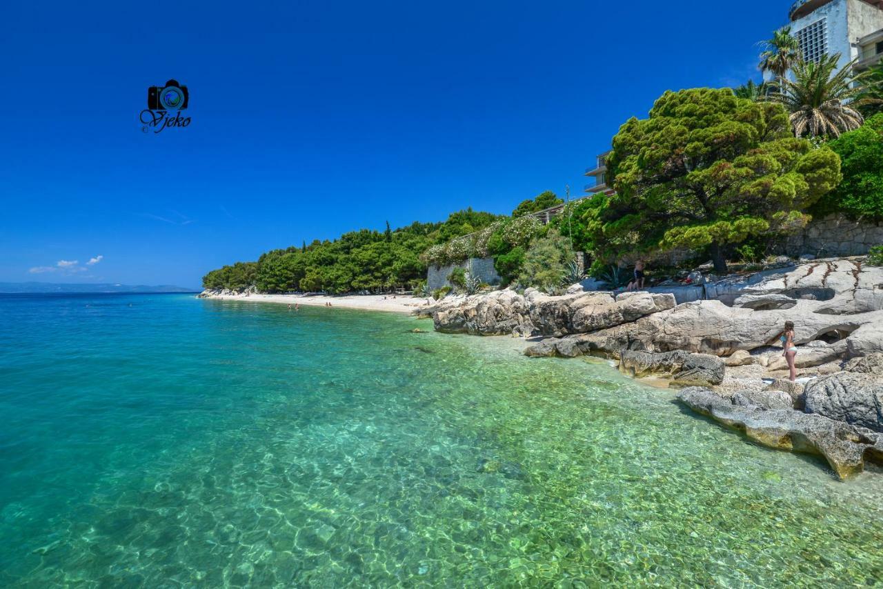 Vila Maslina Apartments Mit Pool Und Garten Nahe Am Strand Tučepi Zewnętrze zdjęcie
