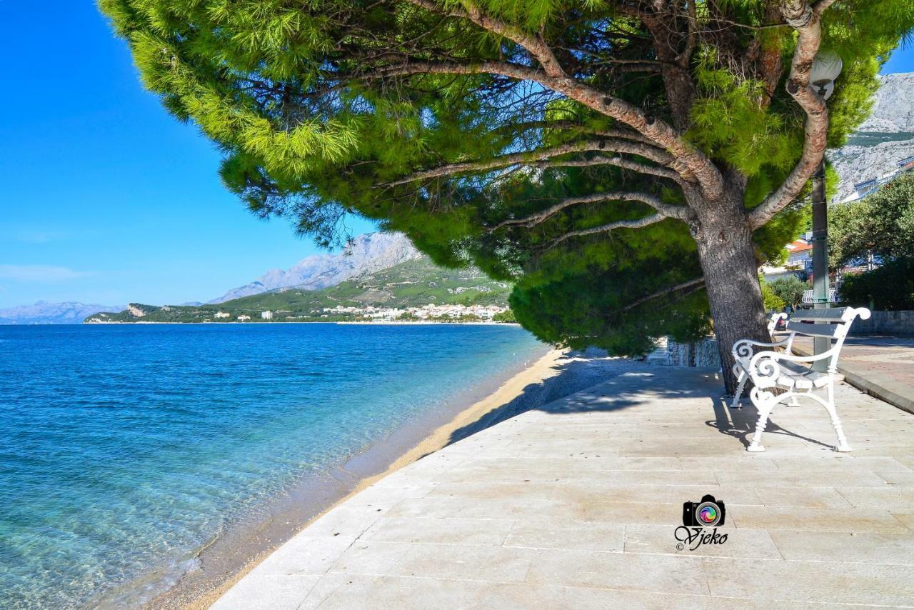 Vila Maslina Apartments Mit Pool Und Garten Nahe Am Strand Tučepi Zewnętrze zdjęcie